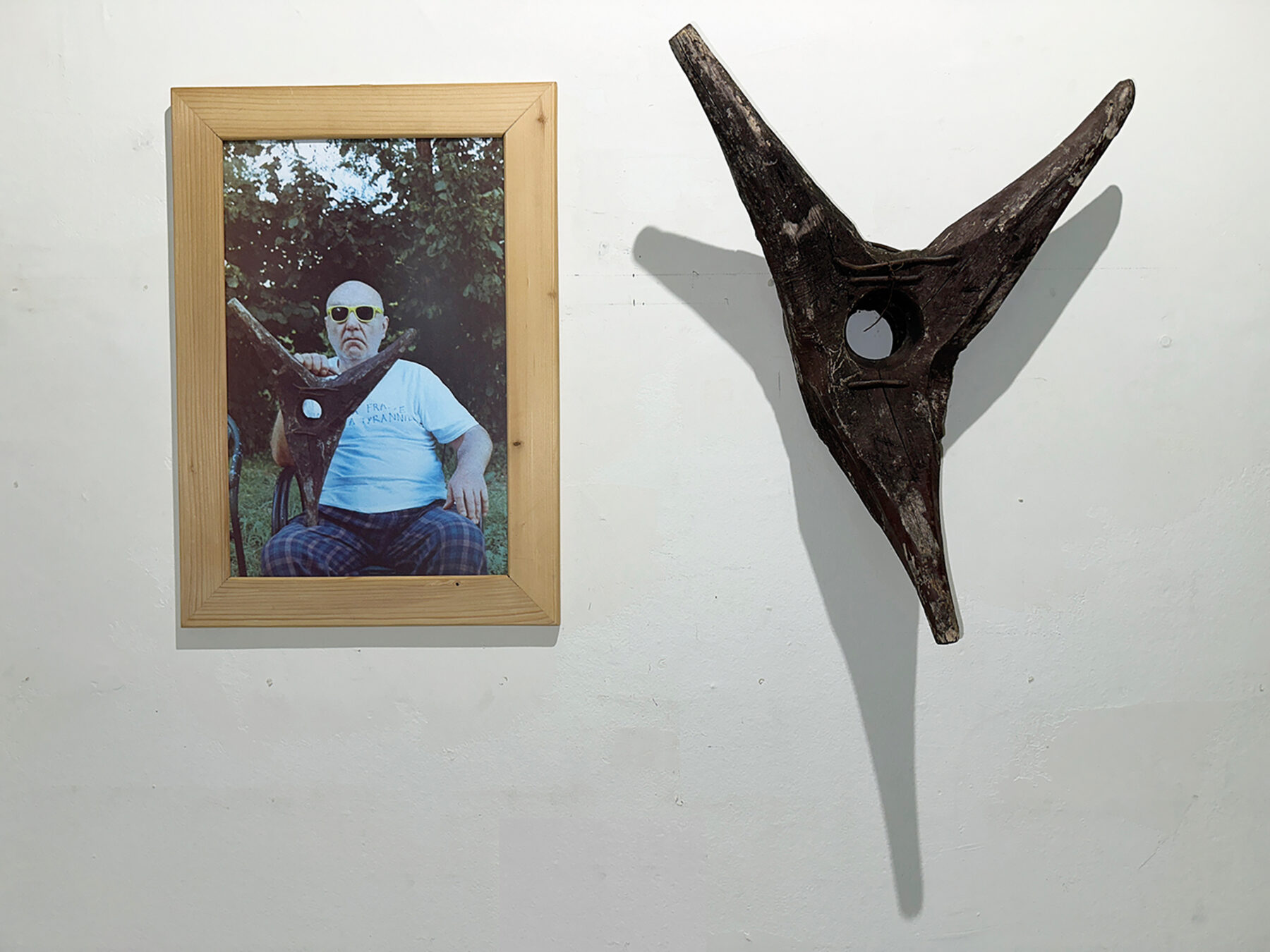 Alija Kamber